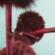 Image for article titled Welcome to the Future Zoo, Home to a Menagerie of Creepy Mutants